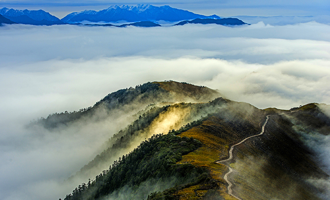 尊龙凯时人生就是搏--首页官网